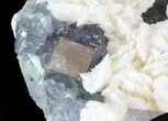 White Dolomite Flowers On Fluorite - (Clearance Price) #44658-1